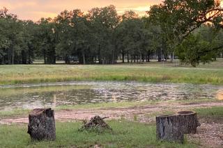 4 Cabins - Reindeer Ranch at Round Top - 7