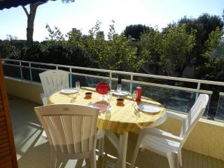 Appartement 3 pièces avec climatisation, terrasse, parking et piscines - Bormes-les-Mimosas - FR-1-251-731 - Bormes-les-Mimosas - 0