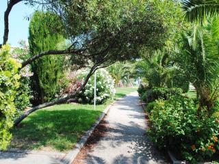 Studio avec Piscine, Tennis et Accès Direct Plage - 3 Couchages, Terrasse, Parking - Bormes-les-Mimosas - FR-1-251-702 - Bormes-les-Mimosas - 4