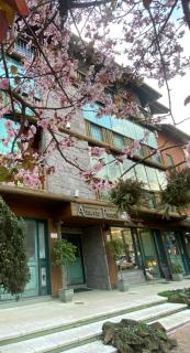 LUXUOSO APT ALMERIS PECCIN no Centro de GRAMADO - 6