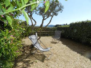Appartement T2 cosy avec jardin, proche plage et commerces – Bormes-les-Mimosas - FR-1-251-756 - Bormes-les-Mimosas - 1