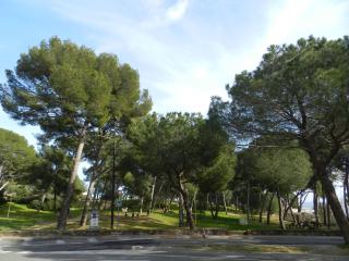 Appartement cosy avec terrasse, proche plage et commerces - Bormes-les-Mimosas - FR-1-251-785 - Bormes-les-Mimosas - 1