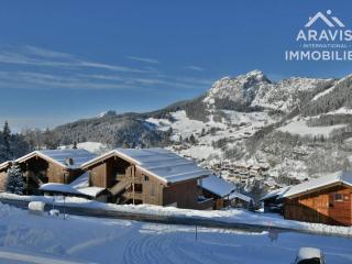 Appartement Confortable à 50m des Pistes, 2 Chambres + Mezzanine, Idéal Familles, Linge Inclus. - FR-1-391-183 - Le Grand-Bornand - 8