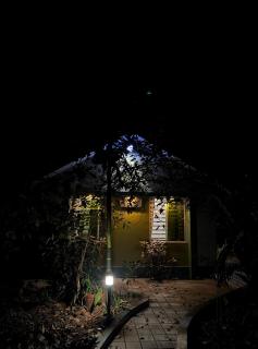 CatsClaw Inn - Talayolaparambu - 7