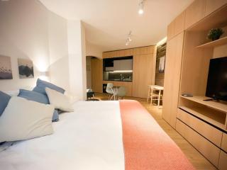 HOM I Depto Studio 2PAX AlA en Barrio Lastarria - 3