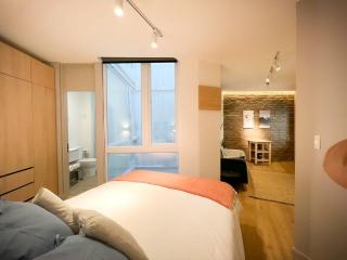HOM I Espectacular Depto Studio Lastarria Servicio - Santiago - 0