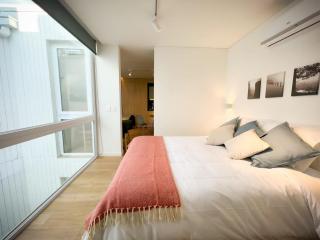 HOM I Moderno Depto con encanto en Barrio Lastarria - Santiago - 0