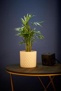 Nove Boutique Apartments - 1