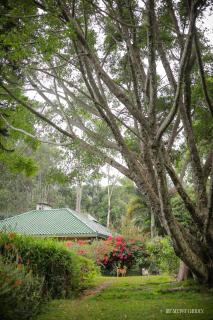 The Secret Garden - 7