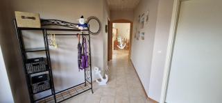 Familienfreundlicher Ferienbungalow Sunnyside - Glasau - 4