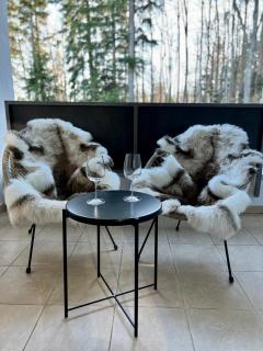 Foxi apartment, Pohorje - 2