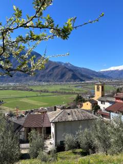 Sotto al Bosco B&B e Azienda Agricola - Dubino - 1