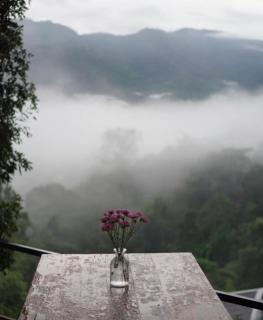 Camp Mai Mee Chue - Pong Yaeng - 3
