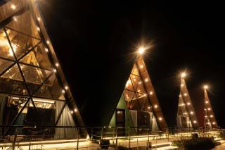 Sunflower Saga - Jaipur - 2