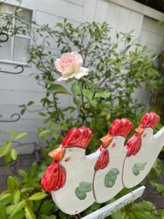 Relax in Canavese - 3