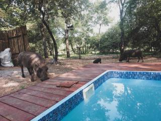 HUIS ASEM - Marloth Park - 1