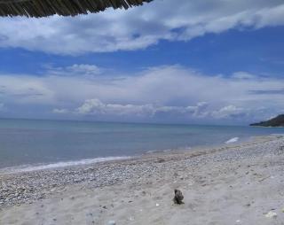 Mola Kalyva , 65sq.m cozy apartment with views - Kassandra - 4