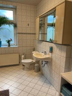 Ferienwohnung im Zentrum Zwickaus - Zwickau - 5