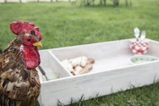 Masseria Cianciò - 6