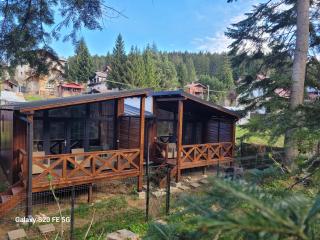 Chalet Amik - Buşteni - 9