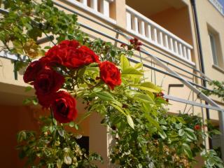Apartments Tare, Free Parking - Vodice - 7