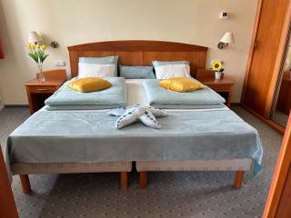 KAROS WELLNESS HAPPINESS & LIFESTYLE APARTMAN - Zalakaros - 9