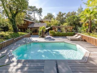 Villa en Bois avec Piscine Chauffée, Proche Plage & Dégustations Ostréicoles - FR-1-736-38 - Lège-Cap-Ferret - 0