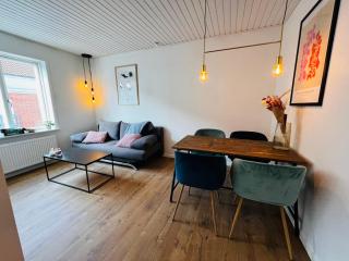 Cozy Flats Silkeborg - 1MTH - Silkeborg - 8