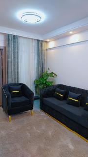 Luxury Apartment Lavington - Mutomo - 5