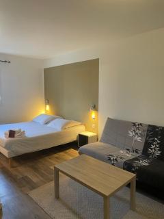 Hôtel Némo Aéroport de Pau - KB HOTEL GROUP - 7
