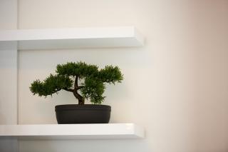 Apartman Rikard - Trogir - 4