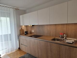 Hidden Gem Apartment Ljubljana Tour As with Free private parking - 3