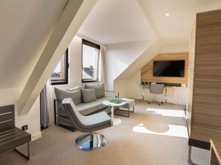Novotel Suites Colmar Centre - Colmar - 1