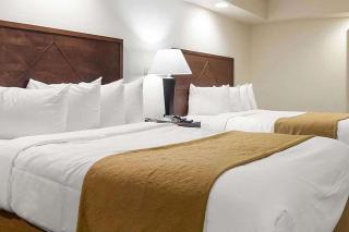 Baymont by Wyndham Jamestown Conference Center & Water Park - Jamestown - 8