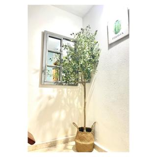 Pontevedra Apartments - Peregrina Family Suite - Pontevedra - 6