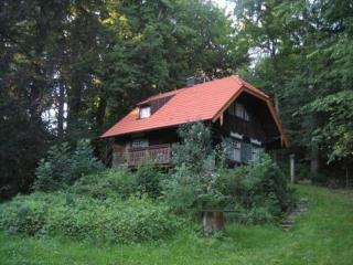 Forsthaus am Chiemsee - Chieming - 9