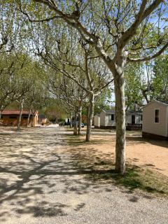 Camping Bungalow el Llac de Banyoles - Porqueres - 8