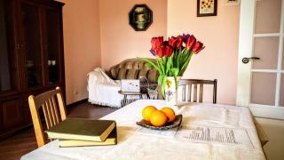 Kyiv TOP LOCATION 60m2 apt in old city fast WIFI selfchekin - Kiev - 8