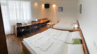 Restavracija in prenočišča ČARDA - Martjanci - 5
