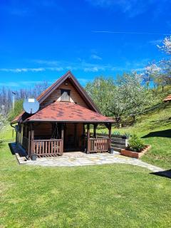 Brvnara na bregu - Bajina Bašta - 5
