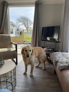 Neues Ferienhaus Nr 47 mit Meerblick 100 Meter zum Wattenmeer, eingezäunt, hundefreundlich - 3