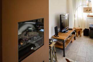 Olympia-Residence - Garmisch-Partenkirchen - 2