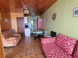 Studio cosy 4 pers. à Saint-Michel-de-Chaillol - Terrasse sud, animaux admis - FR-1-393-57 - 0