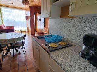 Studio cosy 4 pers. à Saint-Michel-de-Chaillol - Terrasse sud, animaux admis - FR-1-393-57 - Saint-Michel-de-Chaillol - 2