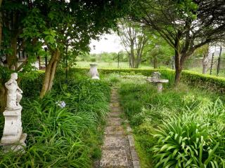 Rose and Ivy Cottages - Louis Trichardt - 4