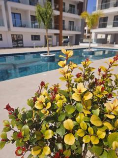 Superior Apartment, Universal Residences - Paphos - 7