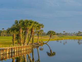 White Heron Beach House - Ponte Vedra - 4