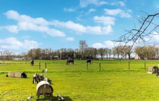Lovely Home In Oosterwolde With Wifi - Oosterwolde - 2