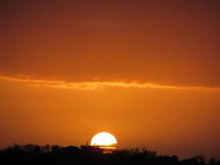 Trust Knysna Forest Farm Lodge - 5