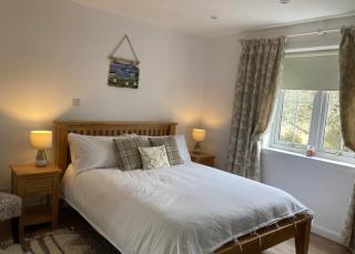 Clashmore Wood - 4